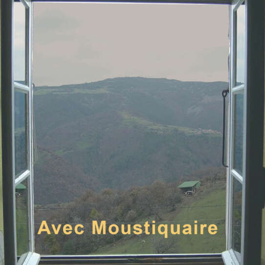 vue fenêtre moustiquaire transparente