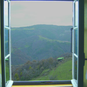 Moustiquaire enroulable verticale